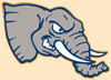 CSU, Fullerton Logo