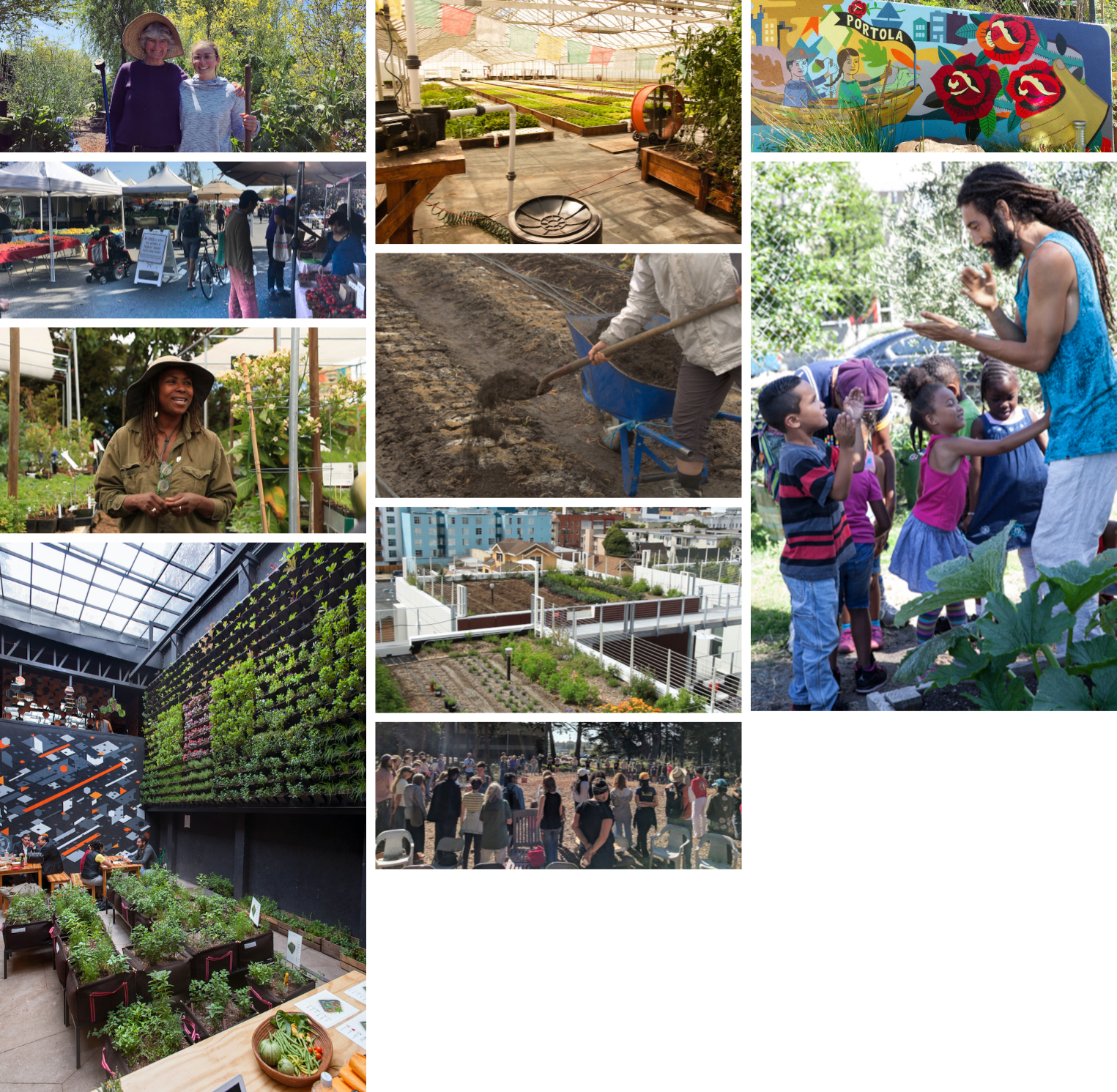 Urban agriculture, agroecology, school and community gardens